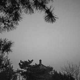 消息称数款老旧合金装备系列游戏将登陆Steam